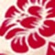 https://img.ltwebstatic.com/v4/j/pi/2025/05/06/37/1746496244c39e837f817a2def2ef4b56646ae1b6d.jpg